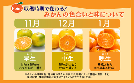 【先行予約】【発送は2026年9月中旬から10月上旬ごろ】佐賀県産みかん”約10kg（箱込み重量）｜【数量限定】混合サイズ｜濃縮旨み ｜ 国産 佐賀県産 ミカン 蜜柑 果物 フルーツ 送料無料  B-