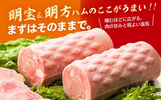年末配送【12月21日～12月31日お届け】郡上ハム競演セット ≪明宝ハム＆明方ハム≫ ハム詰め合わせ プレスハム ポークハム 国産豚肉 ハム 人気 おつまみ 肉 おかず ハム 食品 ハム 精肉 肉加
