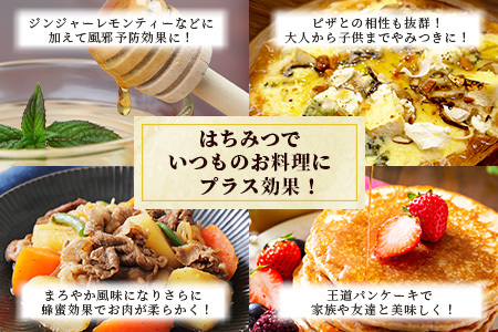 標高800m たっちゃんのこだわり蜂蜜【170g×3本】(送料無料 宮崎県 椎葉村 秘境 蜂蜜 はちみつ ハチミツ みつばち ミツバチ 伝統的 養蜂 国産 天然 百花蜜 巣箱 数量限定 季節 希少 1