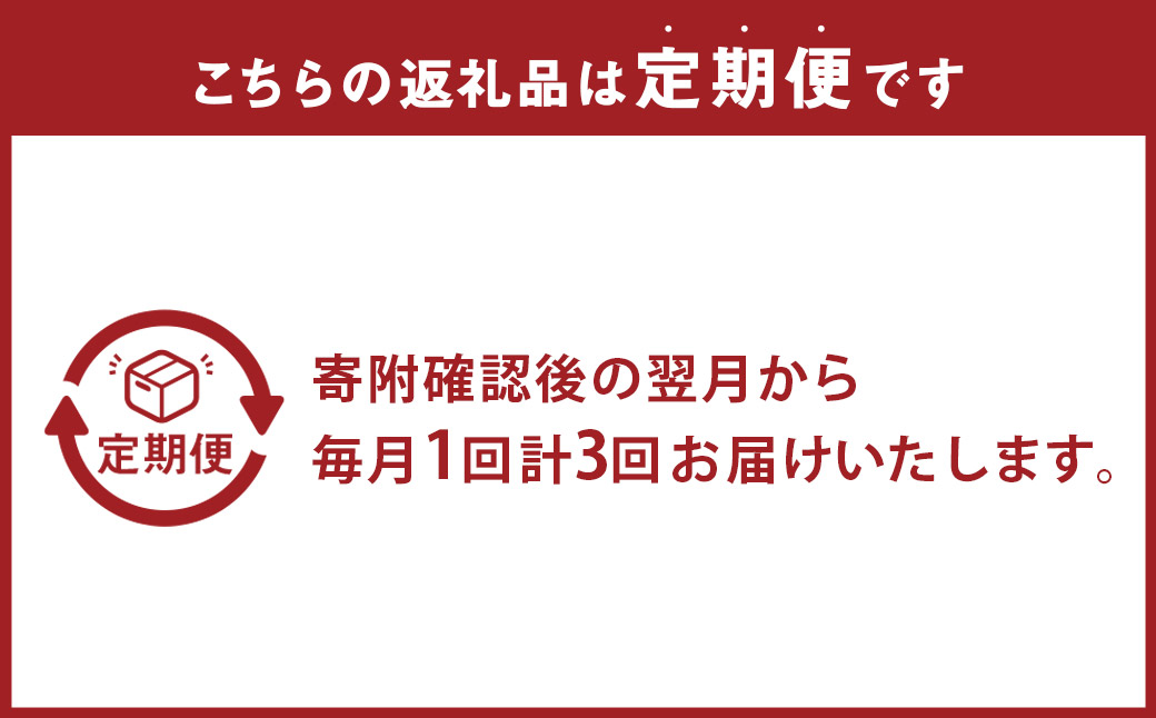 【全3回定期便】 おまかせフラワーアレンジメント 【S】