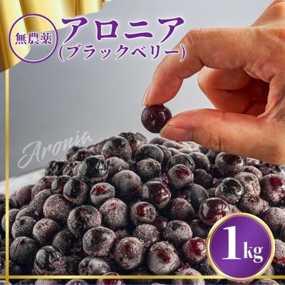 ふるさと納税 小松市 【先行予約】ベリー アロニア 1kg 果物 フルーツベリー