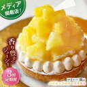 【ふるさと納税】【全3回定期便】パイナップルチーズタルト1ホール(18cm)【心優　−Cotoyu Sweets−】[KAA545]