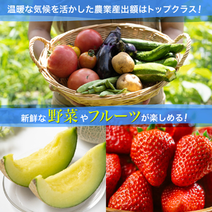 中型タクシーで田原市観光プラン 5時間コース 観光 旅行 タクシー いちご狩り 岬 灯台 菜の花 菜の花祭り 田原市 渥美半島 愛知県