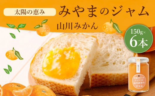 太陽の恵み みやまのジャム 山川みかん6本入