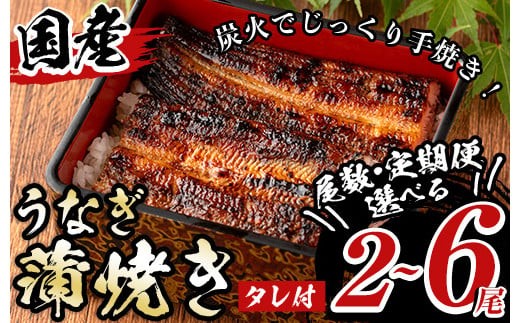 
                  《尾数・定期便選べる！》タレ付き！国産うなぎ蒲焼き(計2～6尾/定期便:2尾×3回) 国産 九州産 鹿児島県 宮崎県 鰻 ウナギ unagi うな重 うな丼 ひつまぶし うなじゅう 蒲焼 かばやき 無頭 魚 魚介類 土用 丑の日 タレ タレ付 おかず 惣菜 冷蔵 特産品 ギフト プレゼント ご贈答 真空パック 湯煎 レンジ 簡単調理 内容量選べる 定期 毎月 2尾 3尾 5尾 6尾 【尾方屋】
                