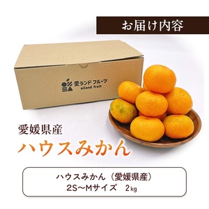 〈夏季限定！申込8/17まで〉温室育ちの温州みかん2.0kg(約15～25個)【甘い 夏のミカン オレンジ ハウスみかん 早生 冷やして 柑橘 フルーツ 果物 愛媛 砥部 JA  8月 9月 】