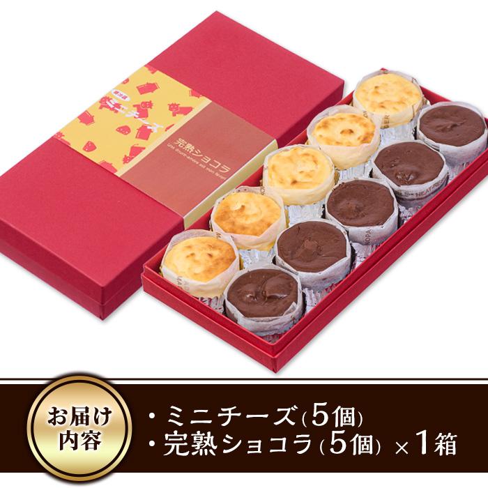 濃厚ショコラ・チーズケーキ (合計10個・2種×5個) チーズケーキ チーズ スイーツ 冷凍 お菓子 おやつ 焼き菓子 お取り寄せ 大分県 佐伯市【AJ75】【(有)ケーキ大使館クアンカ・ド−ネ】
