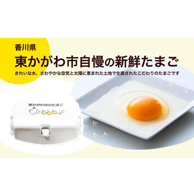 東かがわ市のたまご「鶏卵Mサイズ（10個×5P）」割れ保障1p含む 3ヵ月定期便 たまご 卵 鶏卵 3回 定期便