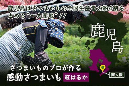 【先行予約】【鹿児島県産 】熟成 紅はるか 5kg (1箱 ) Lサイズ さつまいも（AX72216）