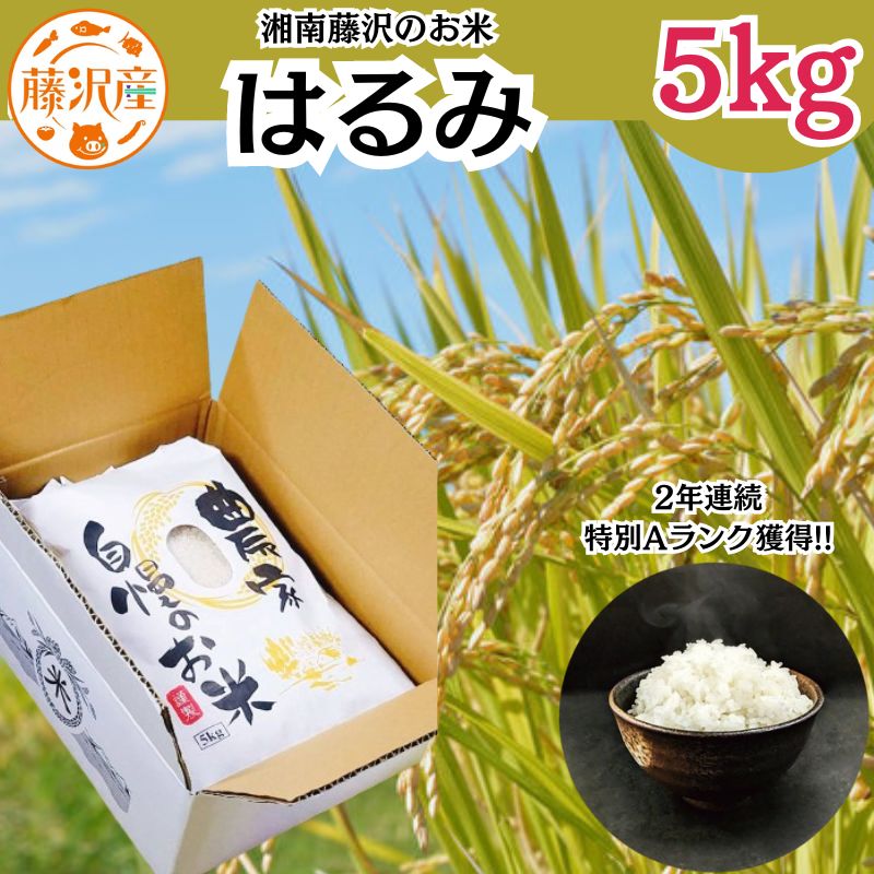 【ふるさと納税】 新米 先行予約 特Aランク 米 はるみ 5kg 令和7年 10月以降 順次発送 こめ 令和7年度産 甘い ツヤ キヌヒカリ コシヒカリ こしひかり しんまい kome ※ お米 白米 ご飯 ごはん 弁当 精米 ブランド米 農家直送 数量限定 産地直送 藤沢洋蘭 神奈川 湘南 藤沢