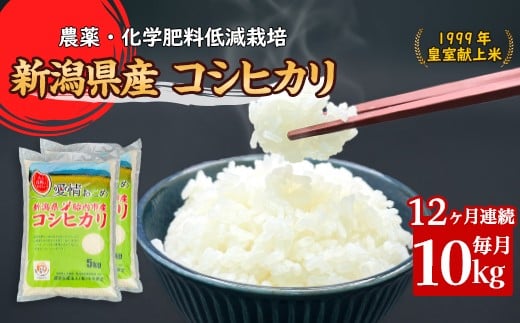 
            16-K10Z【12ヶ月連続お届け】新潟県胎内市産コシヒカリ10kg（5kg×2袋）
          