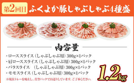 【頒布会】豚肉 切り落とし しゃぶしゃぶ ステーキ ふくよか豚 万能セット 定期便 ロース 肩ロース バラ モモ ヒレ 小分け ブタ肉 ぶた肉 冷凍 福岡県 福岡 九州 グルメ お取り寄せ