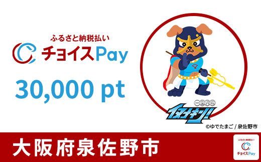 
            泉佐野市チョイスPay 30,000pt【会員限定のお礼の品】
          