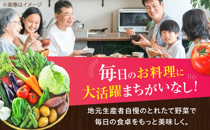 【全12回定期便】【数量限定】旬の 野菜 セット (約3kg/野菜7-8品程度) / 野菜 新鮮 旬 詰合せ セット 熊本県 菊陽町 特産品 【有限会社さんふれあ】 [BHAK026]