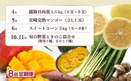 【全8回お届け】宮崎県綾町産 果物・野菜定期便 [X20]_A0113-001