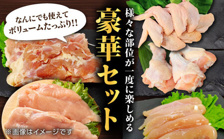 【3回定期便】肥後のうまか 赤鶏  5種食べ比べセット（モモ ささみ ムネ 手羽先 手羽元）各2kg【山内飼料 株式会社 熊本営業所】 九州産 肥後のうまか赤鶏 チキン   [ZAB012]