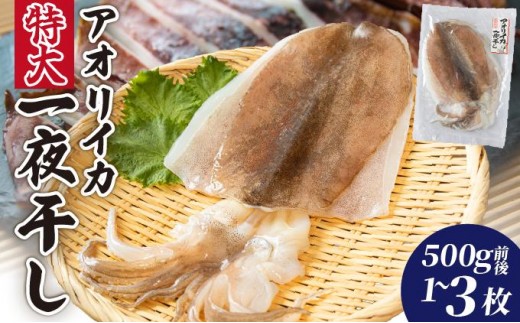 
                  ＜選べる内容量＞アオリイカ一夜干し 特大 1枚〜3枚
                