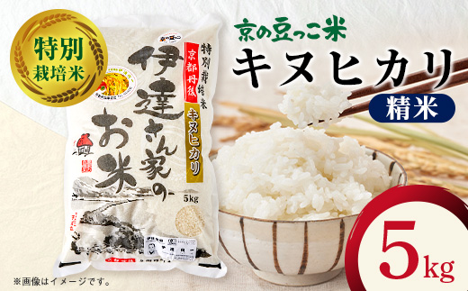 令和7年産米　特別栽培キヌヒカリ「京の豆っこ米」精米5kg　京都与謝野町　【伊達農園】　数量限定