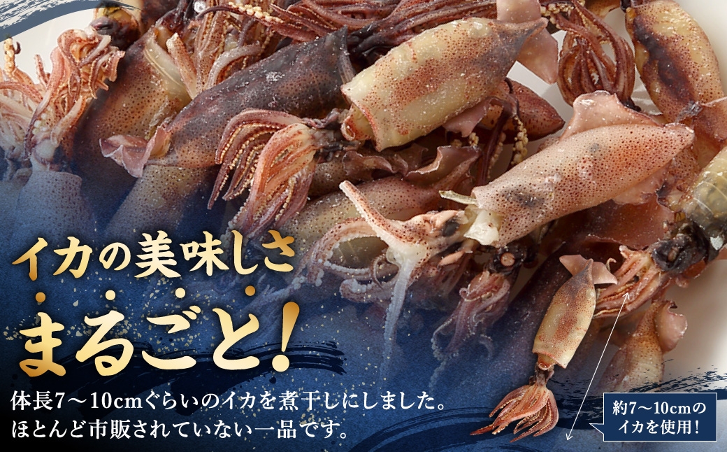 イカの煮干し (長崎県産) ／ タイレイ イカ いか 煮干し 海鮮 魚介 長崎