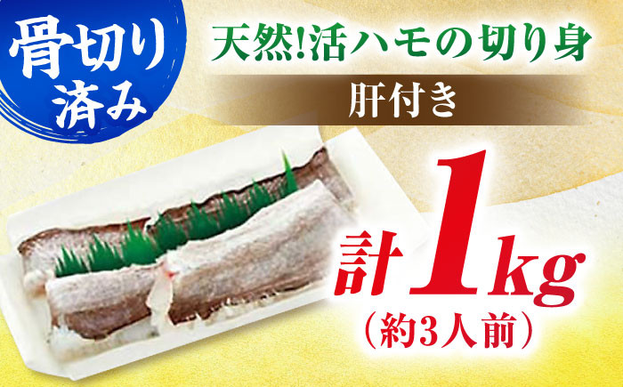 活きハモの骨切り 3人前（約1kg）