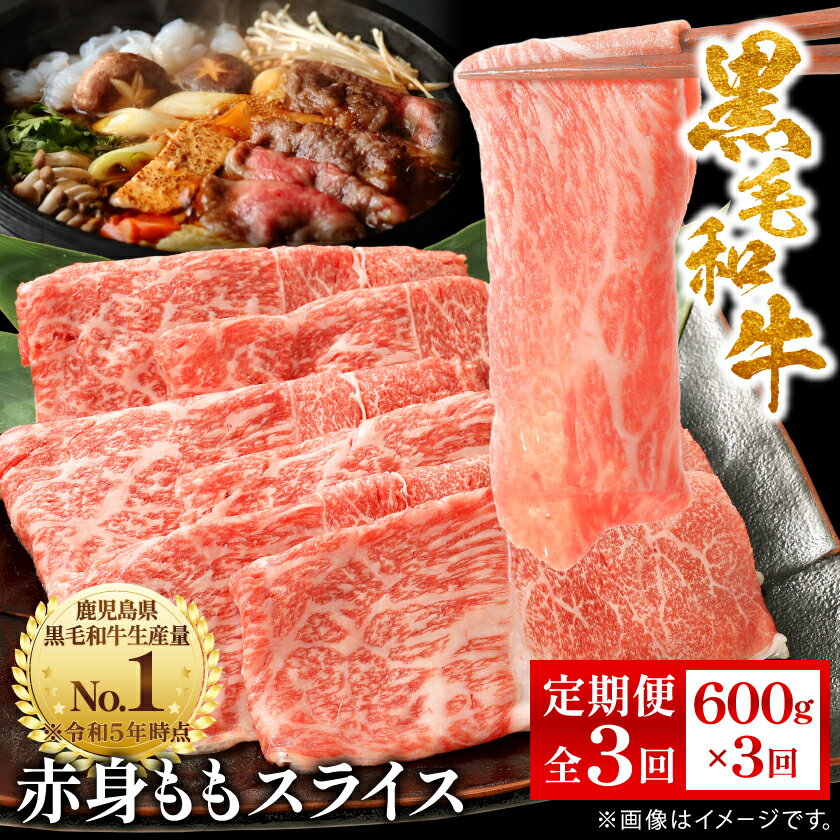 【ふるさと納税】【毎月定期便】鹿児島県産 黒毛和牛 赤身ももスライス 600g(枕崎市)RR-0002 全3回【配送不可地域：離島】【4067571】
