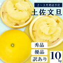 【ふるさと納税】 【 2月 上旬 から 発送 】 秀品 優品 訳あり 文旦 高知 10kg L ～ 4L サイズ 混合 浦ノ内特産 早期予約 予約受付中 期間限定 季節限定 限定 旬 みかん ミカン ぶんたん 高知県 土佐文旦 柑橘 家庭用