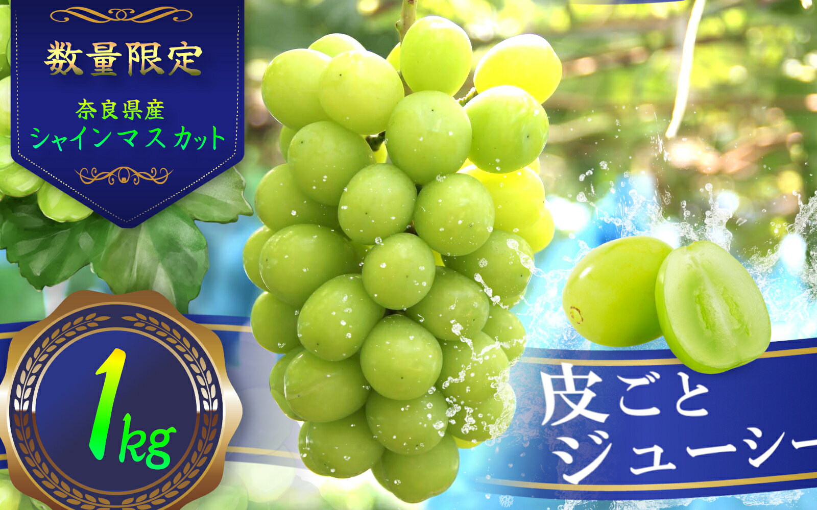 【ふるさと納税】シャインマスカット 約1.0kg ／ フルーツ 果物 数量限定 皮ごと 奈良県 御所市