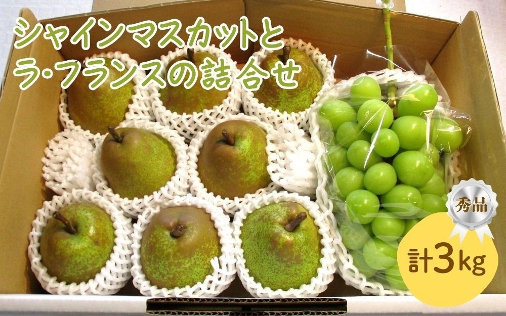 
                  シャインマスカットとラフランスの詰合せ　３ｋｇ　0025-2613
                