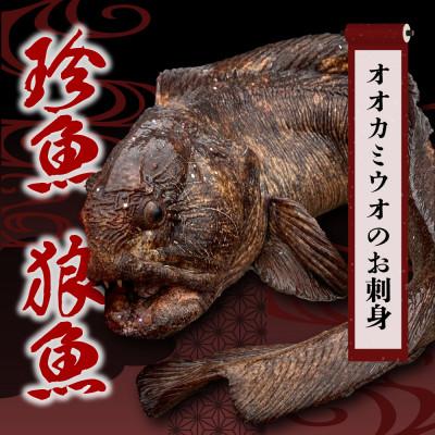 ふるさと納税 斜里町 &lt;数量限定&gt;知床斜里産の珍魚「オオカミウオ」!話題作りにいかがですか?【凍眠にて冷凍しています】