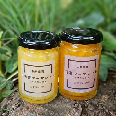 
            柑橘農家の自家製マーマレード3種セット　手作りで自然な甘さをお届けします＜先行受付＞【1657110】
          