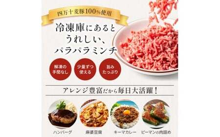四万十麦豚 パラパラミンチ 1kg（500g×2袋）麦豚 ミンチ 冷凍 Ahc-21
