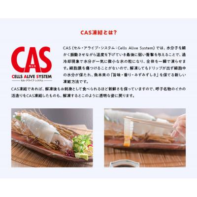 ふるさと納税 唐津市 【CAS凍結】呼子剣先いか姿造り　約120g×3パック |  | 03