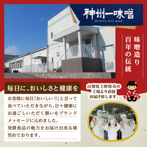 （WT64）神州一味噌 おいしいね！！ 長ねぎ 60食(1食×6個×10箱） 味噌汁 インスタント味噌汁 即席味噌汁 みそ汁 カップ味噌汁
