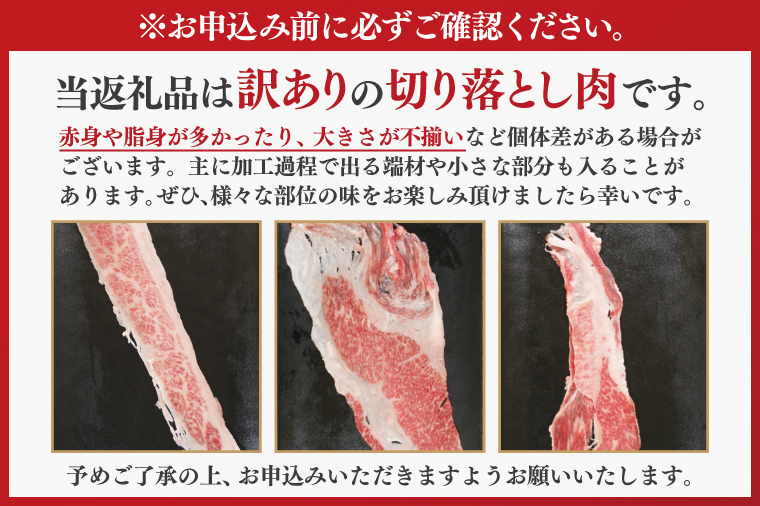 DT-53-1　★常陸牛A5ランク★【訳あり】常陸牛切り落とし(薄切り) 約900ｇ(約300g×3パック)