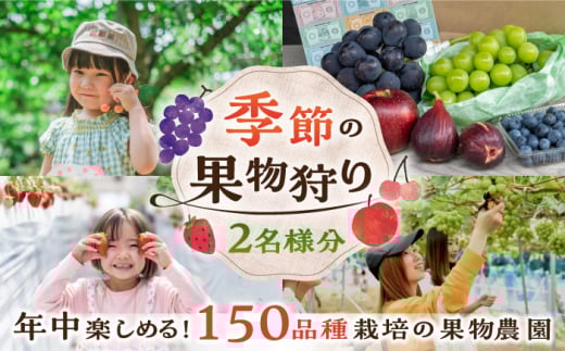 フルーツ 季節の果物狩り 体験チケット（2名様分） フルーツ フルーツ狩り  体験 親子 子連れ ファミリー 食べ比べ 果物狩り 果物  いちご さくらんぼ プラム もも デラウェア ぶどう 梨 りんご チケット 利用券 フルーツ 旅行 農園 広島 三次 旬の果物 旬のフルーツ 人気 おすすめ ギフト プレゼント 送料無料 広島 三次 ふるさと納税 三次市/平田観光農園 [APAA001]