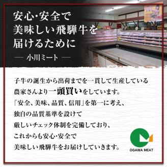 牛肉 飛騨牛 焼き肉 セット ロース 又は 肩ロース 600ｇ 黒毛和牛 Ａ5 美味しい お肉 牛 肉 和牛 焼肉 BBQ バーベキュー 【岐阜県池田町】