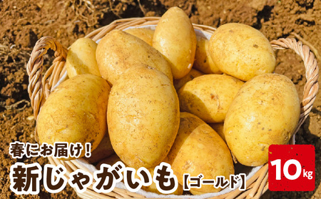 【 2026年 先行予約 受付中 】 新じゃがいも ゴールド 10kg ＜ 3月お届け ＞ C056-006-02 野菜 じゃがいも 芋