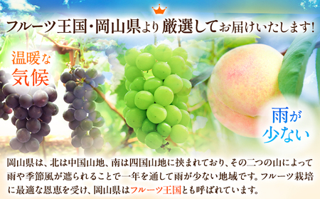 白桃&シャインマスカット&ニューピオーネセット小 【配送不可地域あり】