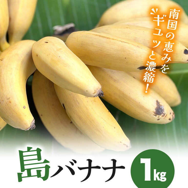 【ふるさと納税】島バナナ 1kg バナナ アップルバナナ フルーツ 果物 甘い スムージー フルーティー 完熟 濃厚 もっちり ねっとり 南国 お取り寄せ 沖縄 糸満市
