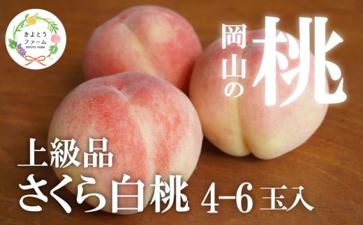 【2026年先行予約】さくら白桃（上級品）4-6玉入 (岡山県産)【KF-A010-02】