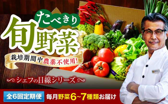 【全6回定期便】 【シェフの目線】　野菜 6から7種　単身・二人暮らし用セット　愛媛県大洲市/有限会社ヒロファミリーフーズ 野菜 やさい 少量セット 食べきり [AGBX045]