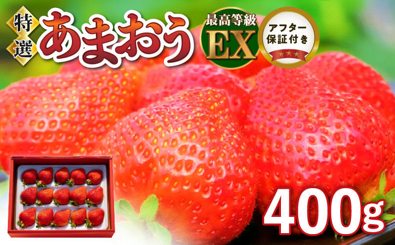 
特選あまおう 400g_数量限定 いちご エクセレント 厳選 あまおう 400g 特別栽培 EX 認定農家 大きい うるう農園 福岡県 久留米市 採れたて 農家直送 フルーツ 果物 冷蔵 贈答用 一粒 丁寧な梱包 贈り物 お歳暮 お取り寄せ 送料無料_Fi006-V1
