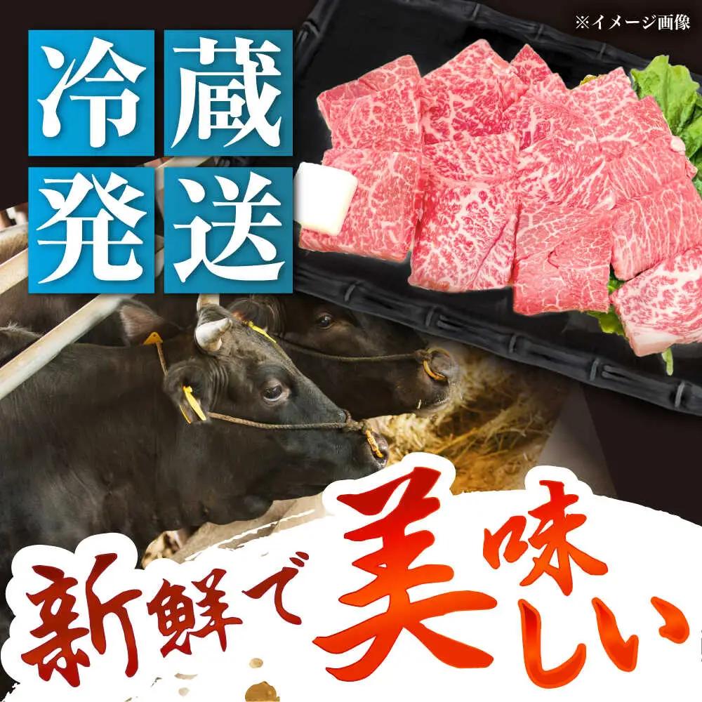 飛騨牛 A5 もも 500g / 恵那市 / 東美濃農業協同組合 [AUFX005]