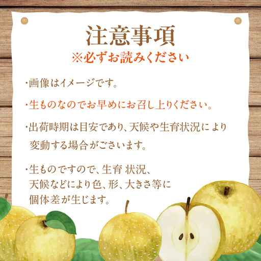 【先行予約】京丹後産 20世紀梨 5kg | 梨（2026年9月上旬～発送）