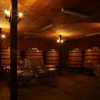 ふるさと納税 足利市 スパークリングワイン　北のぼ |  | 03