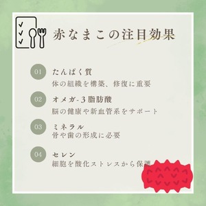 なまこ 500g 冷凍 山口県産ポン酢なまこ JD001-x