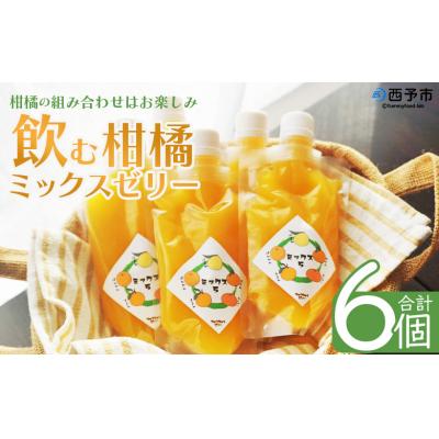 ふるさと納税 西予市 <つるんと食感の飲む柑橘ミックスゼリー6個>渡江　愛媛　みかん　おいしい