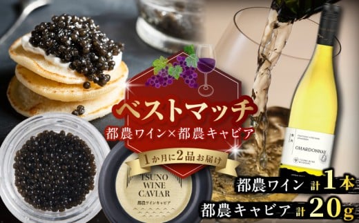 【期間・数量限定】＼ベストマッチ!!／都農ワイン&都農キャビア 魚 魚介 酒 ワイン 国産_T999-026