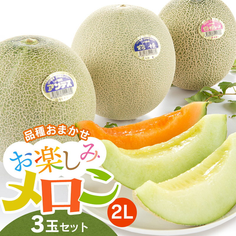 【ふるさと納税】【令和7年産先行予約】 砂丘メロン 三昧 2Lサイズ アンデスメロン・鶴姫メロン・鶴姫レッドメロン の中から3玉お届け K-736 | 山形県 庄内産 鶴岡市 楽天 支援品 返礼品 フルーツ 果物 くだもの 取り寄せ ギフト 食べ物 お楽しみメロン