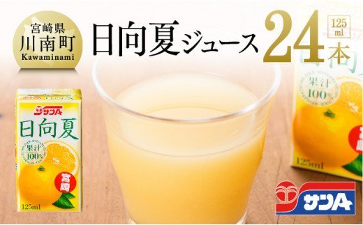 飲料 サンA 日向夏ジュース ( 果汁100% ) 125ml×24本セット ⅡⅦ [C03059]